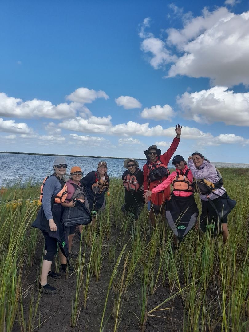 Limosa Kayak Expediciones