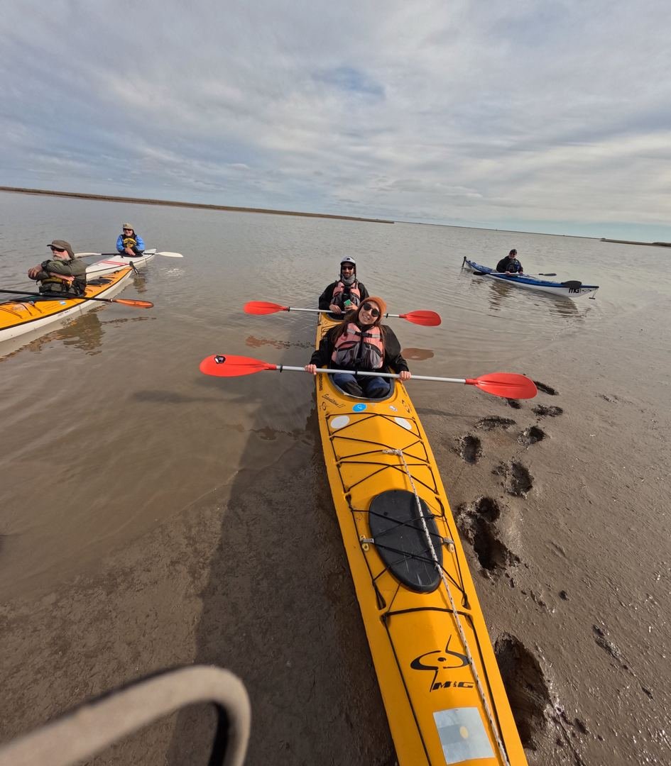Limosa Kayak Expediciones