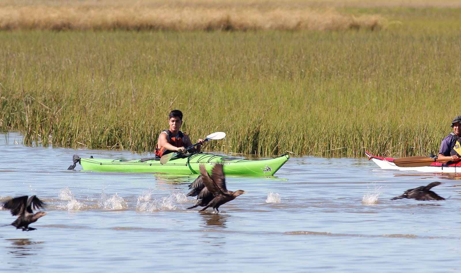Limosa Kayak Expediciones